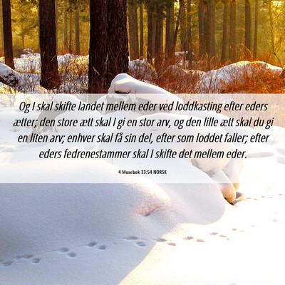 Picture 06 - 4 Mosebok 33:54 NORSK - Og I skal skifte landet mellem eder ved - Bible Verse Picture
