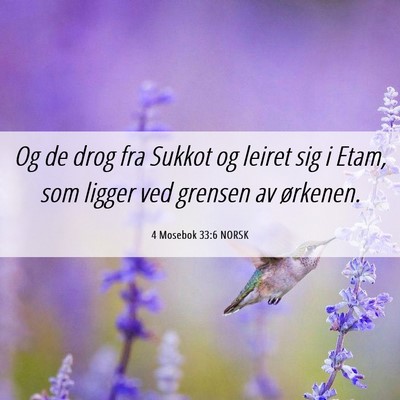 Picture 06 - 4 Mosebok 33:6 NORSK - Og de drog fra Sukkot og leiret sig i Etam, som - Bible Verse Picture