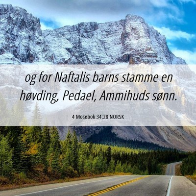 Picture 06 - 4 Mosebok 34:28 NORSK - og for Naftalis barns stamme en høvding, Pedael, - Bible Verse Picture