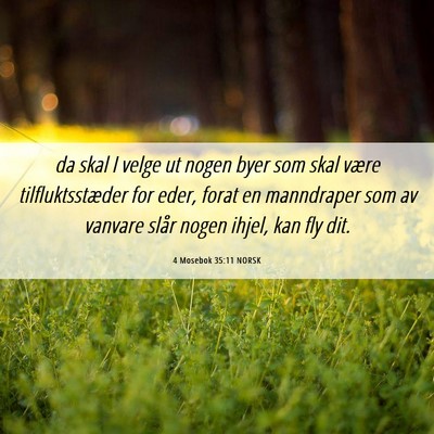 Picture 06 - 4 Mosebok 35:11 NORSK - da skal I velge ut nogen byer som skal være - Bible Verse Picture