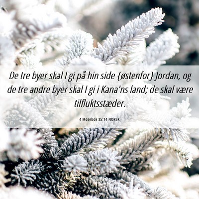 Picture 06 - 4 Mosebok 35:14 NORSK - De tre byer skal I gi på hin side {østenfor} - Bible Verse Picture