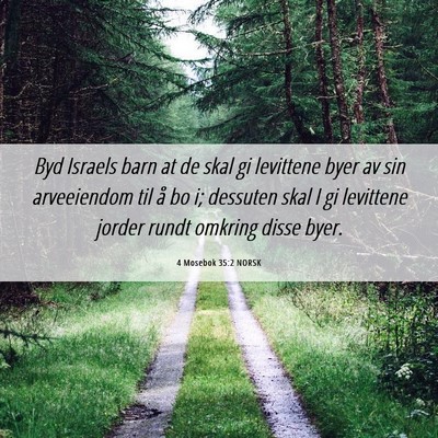 Picture 06 - 4 Mosebok 35:2 NORSK - Byd Israels barn at de skal gi levittene byer av - Bible Verse Picture
