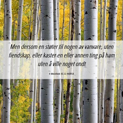 Picture 06 - 4 Mosebok 35:22 NORSK - Men dersom en støter til nogen av vanvare, uten - Bible Verse Picture