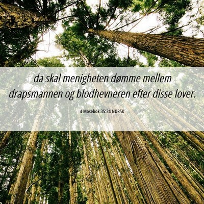 Picture 06 - 4 Mosebok 35:24 NORSK - da skal menigheten dømme mellem drapsmannen og - Bible Verse Picture