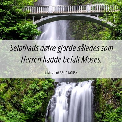 Picture 06 - 4 Mosebok 36:10 NORSK - Selofhads døtre gjorde således som Herren hadde - Bible Verse Picture