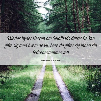 Picture 06 - 4 Mosebok 36:6 NORSK - Således byder Herren om Selofhads døtre: De kan - Bible Verse Picture
