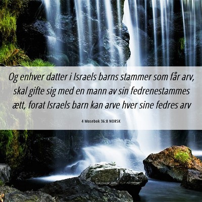 Picture 06 - 4 Mosebok 36:8 NORSK - Og enhver datter i Israels barns stammer som får - Bible Verse Picture
