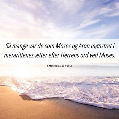 Picture 06 - 4 Mosebok 4:45 NORSK - Så mange var de som Moses og Aron mønstret i - Bible Verse Picture