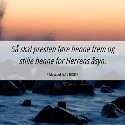 Picture 06 - 4 Mosebok 5:16 NORSK - Så skal presten føre henne frem og stille henne - Bible Verse Picture