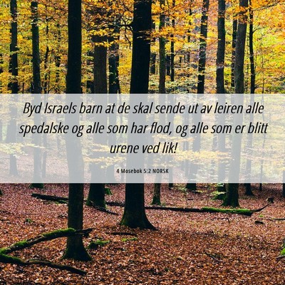 Picture 06 - 4 Mosebok 5:2 NORSK - Byd Israels barn at de skal sende ut av leiren - Bible Verse Picture