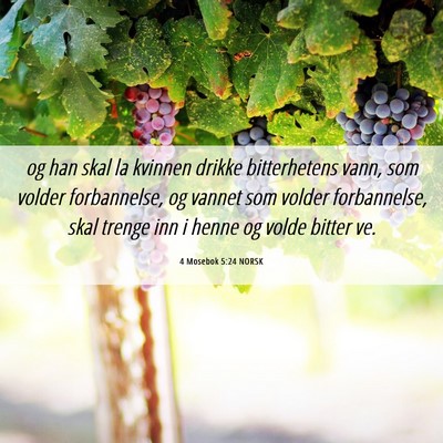 Picture 06 - 4 Mosebok 5:24 NORSK - og han skal la kvinnen drikke bitterhetens vann, - Bible Verse Picture