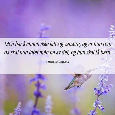 Picture 06 - 4 Mosebok 5:28 NORSK - Men har kvinnen ikke latt sig vanære, og er hun - Bible Verse Picture
