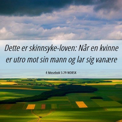 Picture 06 - 4 Mosebok 5:29 NORSK - Dette er skinnsyke-loven: Når en kvinne er utro - Bible Verse Picture