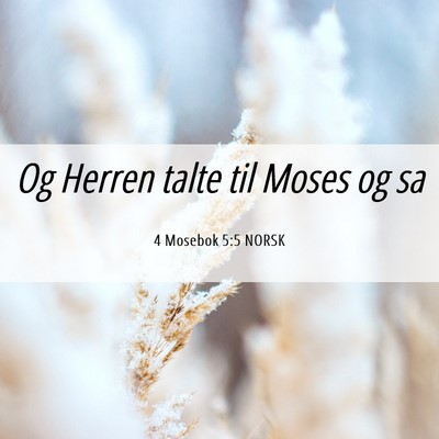 Picture 06 - 4 Mosebok 5:5 NORSK - Og Herren talte til Moses og - Bible Verse Picture