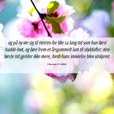Picture 06 - 4 Mosebok 6:12 NORSK - og på ny vie sig til Herren for like sa lang tid - Bible Verse Picture