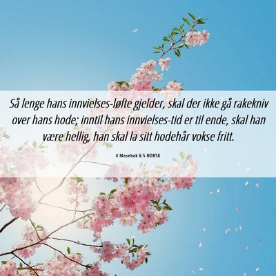 Picture 06 - 4 Mosebok 6:5 NORSK - Så lenge hans innvielses-løfte gjelder, skal - Bible Verse Picture