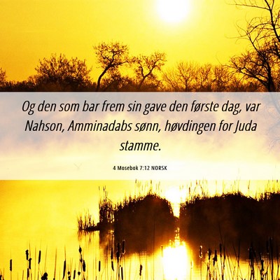 Picture 06 - 4 Mosebok 7:12 NORSK - Og den som bar frem sin gave den første dag, var - Bible Verse Picture