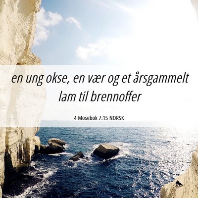 Picture 06 - 4 Mosebok 7:15 NORSK - en ung okse, en vær og et årsgammelt lam til - Bible Verse Picture