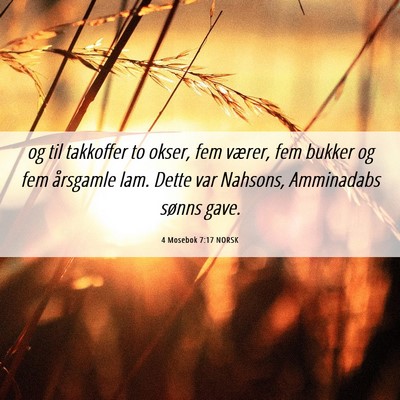 Picture 06 - 4 Mosebok 7:17 NORSK - og til takkoffer to okser, fem værer, fem bukker - Bible Verse Picture