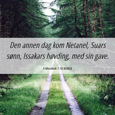 Picture 06 - 4 Mosebok 7:18 NORSK - Den annen dag kom Netanel, Suars sønn, Issakars - Bible Verse Picture