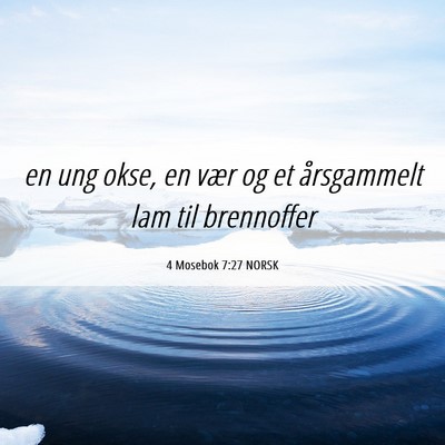 Picture 06 - 4 Mosebok 7:27 NORSK - en ung okse, en vær og et årsgammelt lam til - Bible Verse Picture
