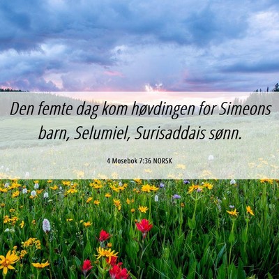 Picture 06 - 4 Mosebok 7:36 NORSK - Den femte dag kom høvdingen for Simeons barn, - Bible Verse Picture