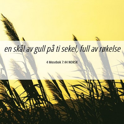 Picture 06 - 4 Mosebok 7:44 NORSK - en skål av gull på ti sekel, full av - Bible Verse Picture
