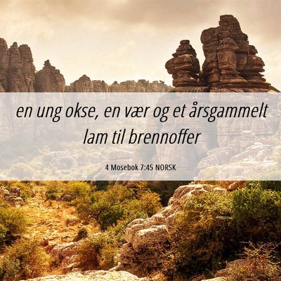 Picture 06 - 4 Mosebok 7:45 NORSK - en ung okse, en vær og et årsgammelt lam til - Bible Verse Picture