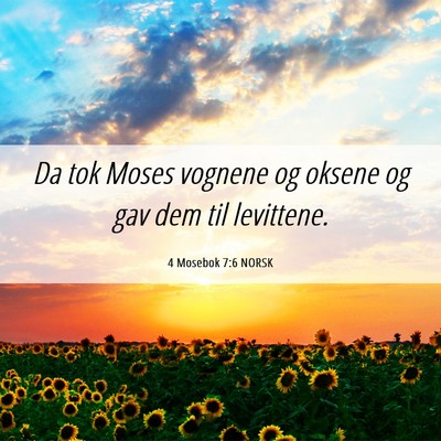 Picture 06 - 4 Mosebok 7:6 NORSK - Da tok Moses vognene og oksene og gav dem til - Bible Verse Picture