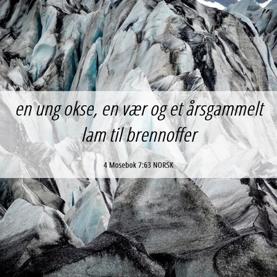 Picture 06 - 4 Mosebok 7:63 NORSK - en ung okse, en vær og et årsgammelt lam til - Bible Verse Picture