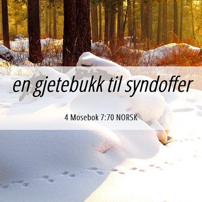 Picture 06 - 4 Mosebok 7:70 NORSK - en gjetebukk til - Bible Verse Picture