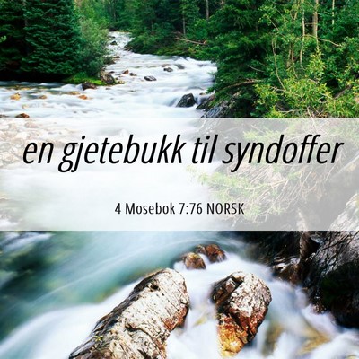 Picture 06 - 4 Mosebok 7:76 NORSK - en gjetebukk til - Bible Verse Picture