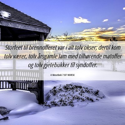 Picture 06 - 4 Mosebok 7:87 NORSK - Storfeet til brennofferet var i alt tolv okser; - Bible Verse Picture