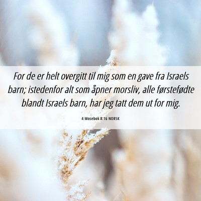 Picture 06 - 4 Mosebok 8:16 NORSK - For de er helt overgitt til mig som en gave fra - Bible Verse Picture