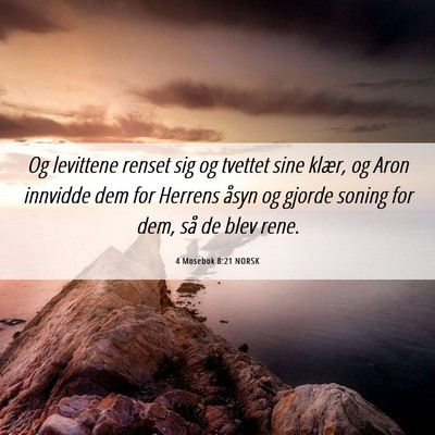 Picture 06 - 4 Mosebok 8:21 NORSK - Og levittene renset sig og tvettet sine klær, og - Bible Verse Picture