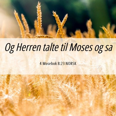 Picture 06 - 4 Mosebok 8:23 NORSK - Og Herren talte til Moses og - Bible Verse Picture