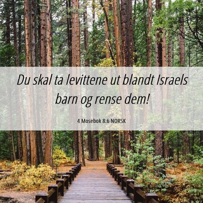 Picture 06 - 4 Mosebok 8:6 NORSK - Du skal ta levittene ut blandt Israels barn og - Bible Verse Picture