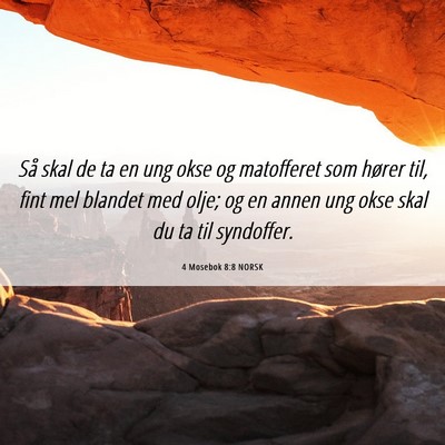 Picture 06 - 4 Mosebok 8:8 NORSK - Så skal de ta en ung okse og matofferet som - Bible Verse Picture