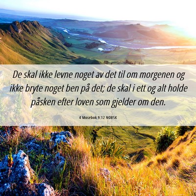 Picture 06 - 4 Mosebok 9:12 NORSK - De skal ikke levne noget av det til om morgenen - Bible Verse Picture