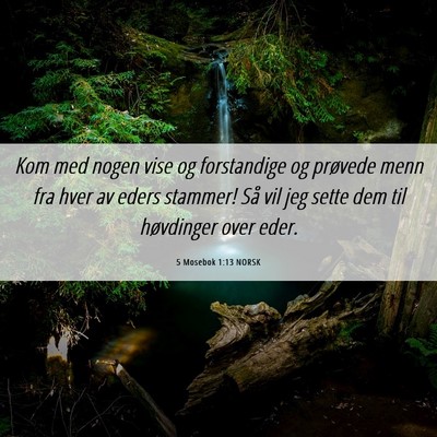 Picture 06 - 5 Mosebok 1:13 NORSK - Kom med nogen vise og forstandige og prøvede - Bible Verse Picture