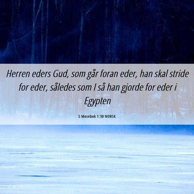 Picture 06 - 5 Mosebok 1:30 NORSK - Herren eders Gud, som går foran eder, han skal - Bible Verse Picture
