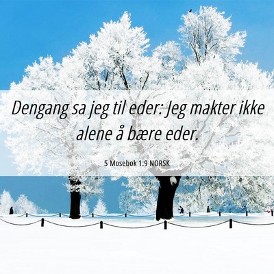 Picture 06 - 5 Mosebok 1:9 NORSK - Dengang sa jeg til eder: Jeg makter ikke alene å - Bible Verse Picture