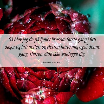 Picture 06 - 5 Mosebok 10:10 NORSK - Så blev jeg da på fjellet likesom første gang - Bible Verse Picture