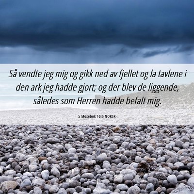 Picture 06 - 5 Mosebok 10:5 NORSK - Så vendte jeg mig og gikk ned av fjellet og la - Bible Verse Picture