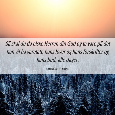 Picture 06 - 5 Mosebok 11:1 NORSK - Så skal du da elske Herren din Gud og ta vare - Bible Verse Picture