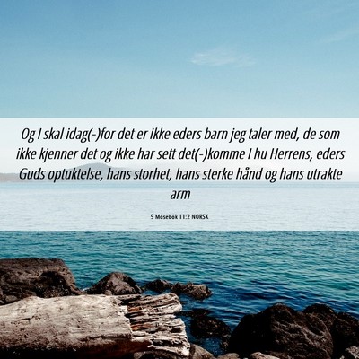 Picture 06 - 5 Mosebok 11:2 NORSK - Og I skal idag(-)for det er ikke eders barn jeg - Bible Verse Picture