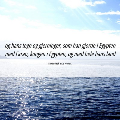 Picture 06 - 5 Mosebok 11:3 NORSK - og hans tegn og gjerninger, som han gjorde i - Bible Verse Picture