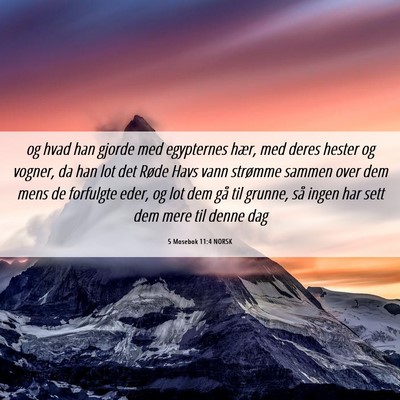 Picture 06 - 5 Mosebok 11:4 NORSK - og hvad han gjorde med egypternes hær, med deres - Bible Verse Picture