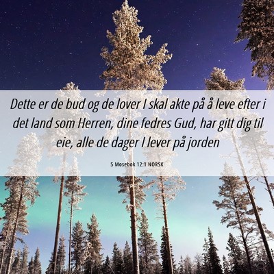Picture 06 - 5 Mosebok 12:1 NORSK - Dette er de bud og de lover I skal akte på å - Bible Verse Picture
