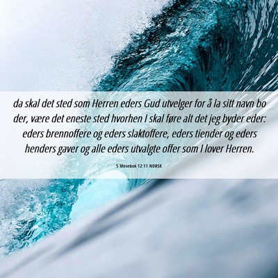 Picture 06 - 5 Mosebok 12:11 NORSK - da skal det sted som Herren eders Gud utvelger - Bible Verse Picture